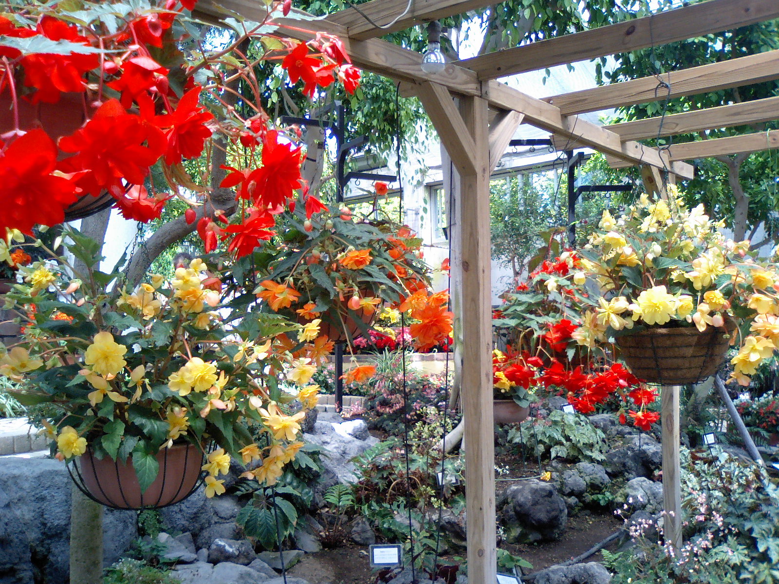 草の植え方