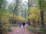 「ゴッホの森」De Hoge Veluwe国立公園